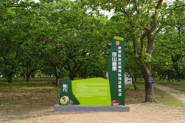 罗山板栗·地理标志证明商标司法保护服务点成立