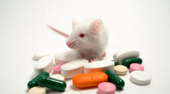 FDA 宣布将淘汰动物实验，这真的靠谱吗？网上吵翻了