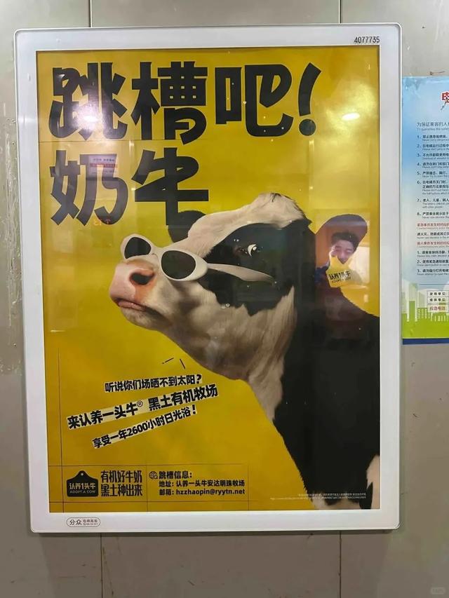 广告被质疑讽刺打工人，“认养一头牛”回应