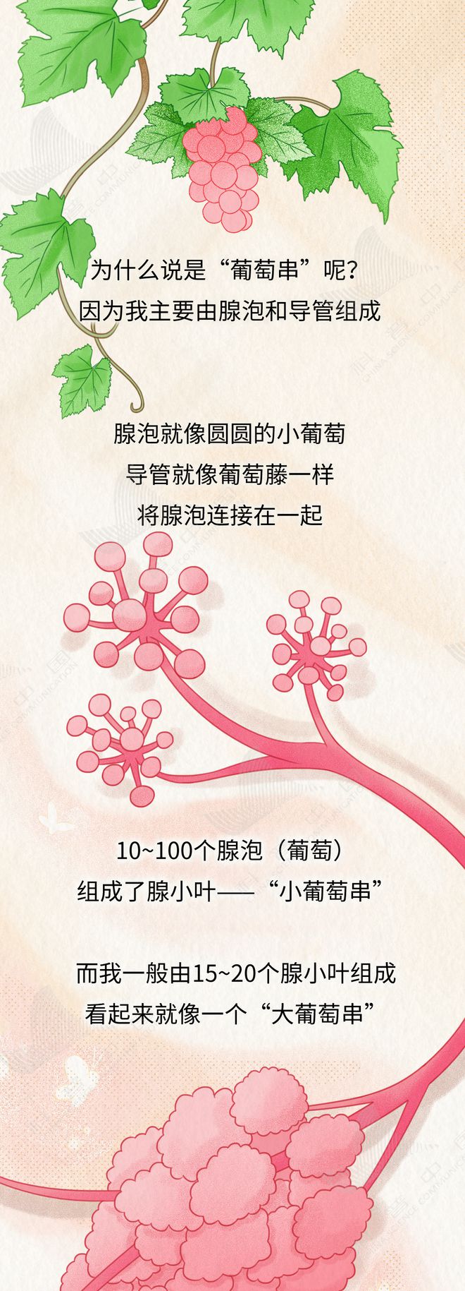 乳腺就是这样一步步癌变的！居然和这几个习惯有关……
