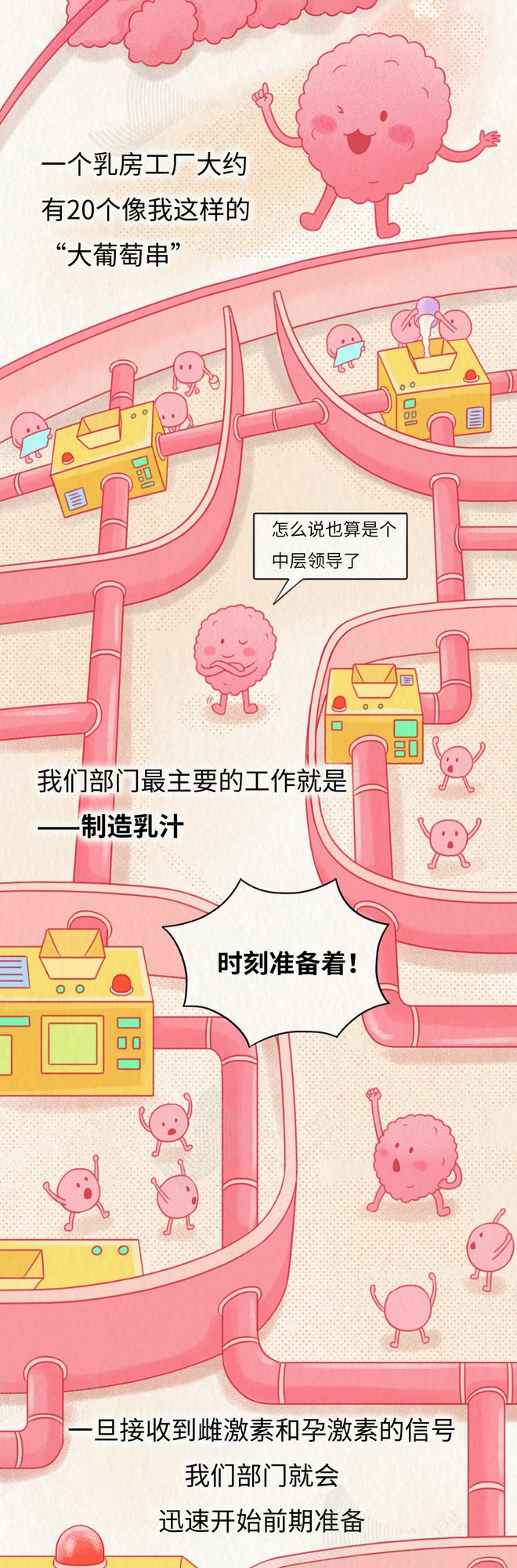 乳腺就是这样一步步癌变的！居然和这几个习惯有关……