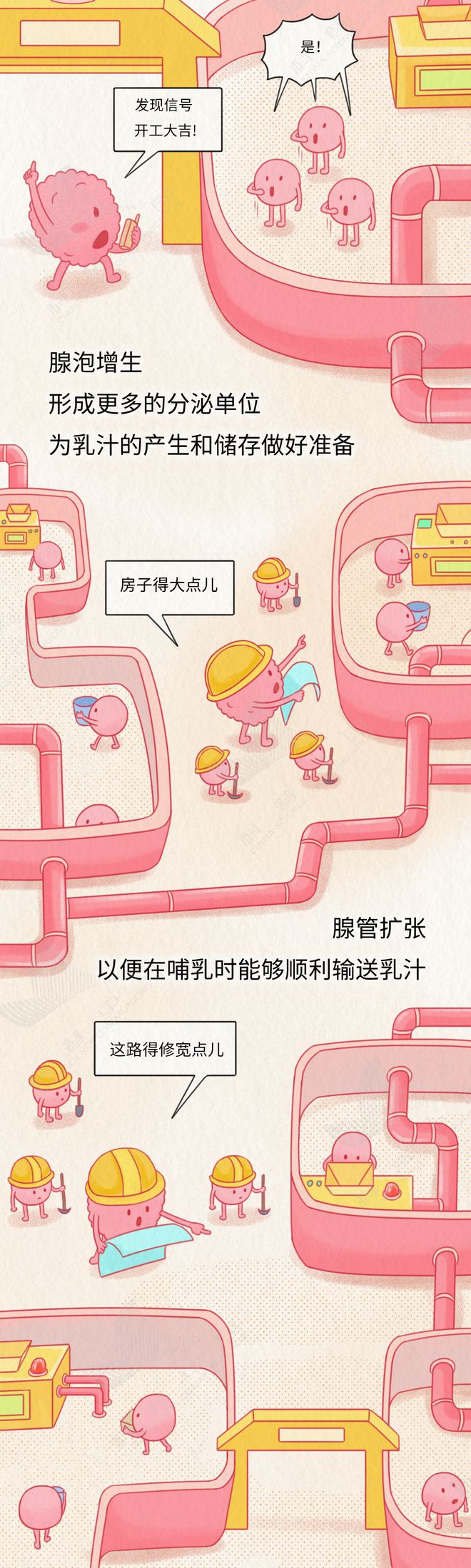 乳腺就是这样一步步癌变的！居然和这几个习惯有关……
