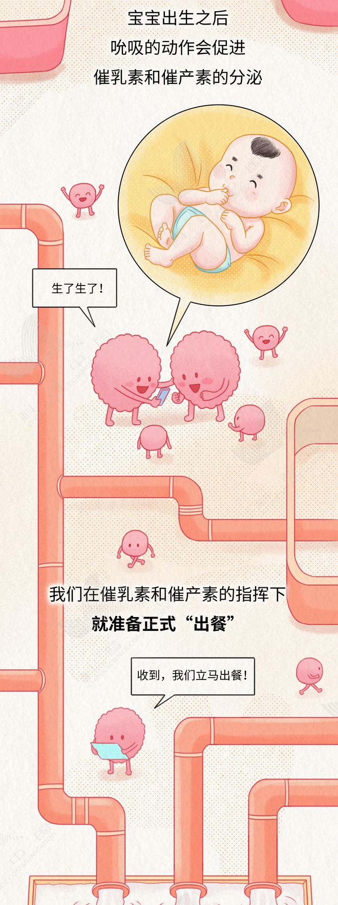 乳腺就是这样一步步癌变的！居然和这几个习惯有关……