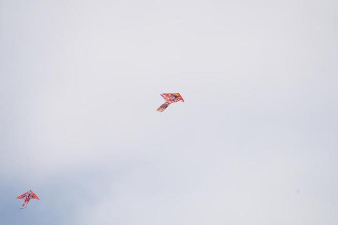 G镜头家族超远新视野 索尼FE 400-800mm F6.3-8 G OSS评测