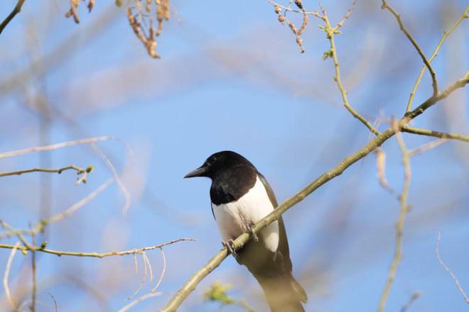 G镜头家族超远新视野 索尼FE 400-800mm F6.3-8 G OSS评测