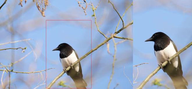 G镜头家族超远新视野 索尼FE 400-800mm F6.3-8 G OSS评测