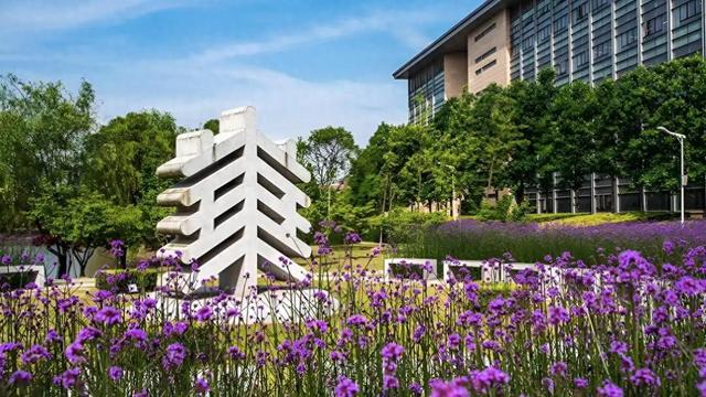 华东师范大学2025年强基计划招生简章