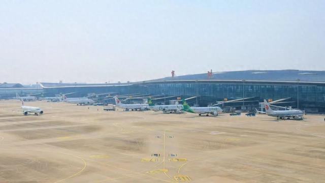 价格飙涨，接着“断崖式”下跌！宁波人要买的，抓紧了→