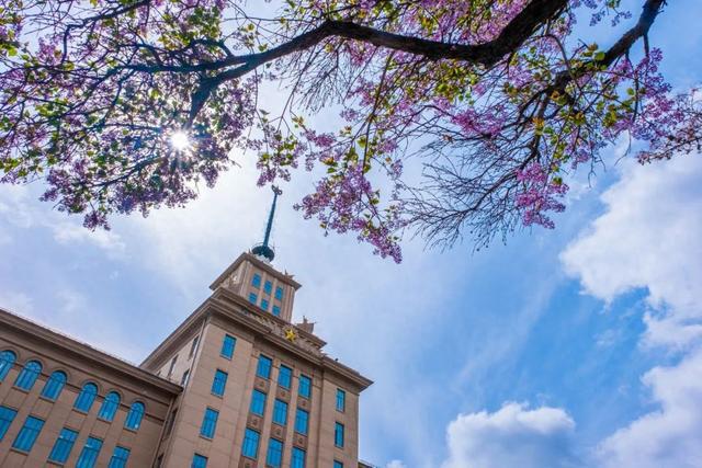 哈尔滨工业大学2025年强基计划招生简章