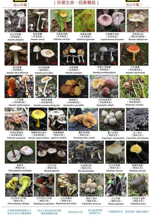 最新通报：发病1例，死亡1例！千万别采、别买、别吃