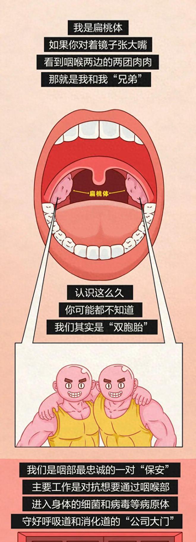 扁桃体总发炎，真不是因为免疫力不好，而是.....