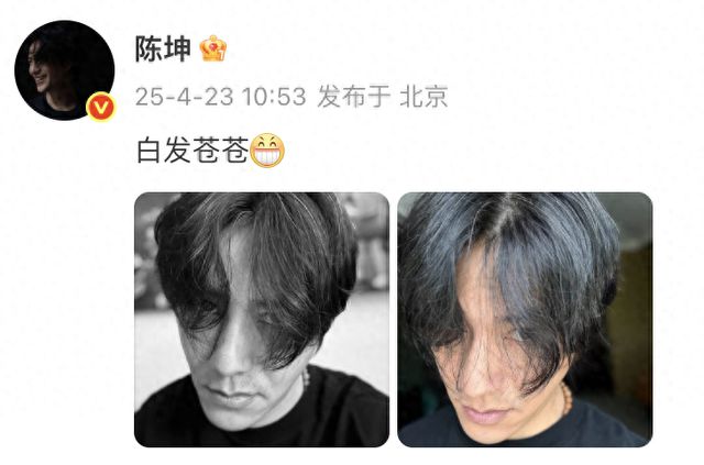 49岁陈坤晒怼脸素颜照：已白发苍苍