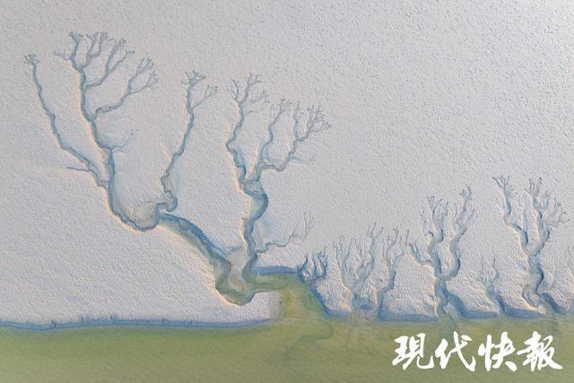 2025年全国重点媒体盐城行｜大美盐城，生态湿地好风光