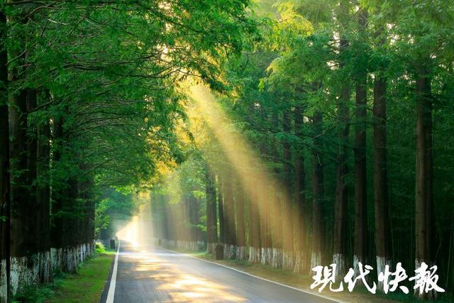 2025年全国重点媒体盐城行｜大美盐城，生态湿地好风光
