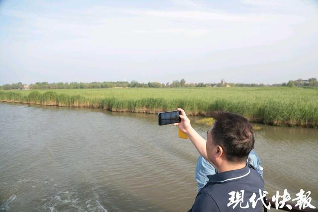 2025年全国重点媒体盐城行｜大美盐城，生态湿地好风光