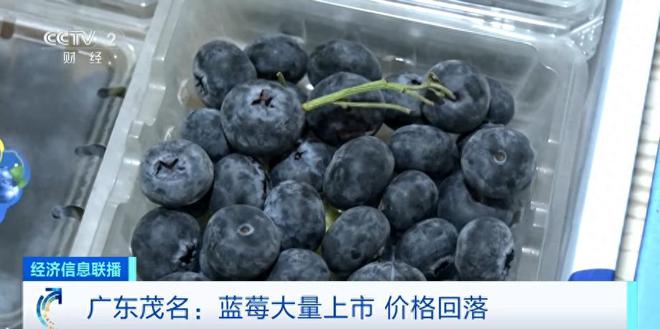 蓝莓价格“腰斩”！每天吃一盒会发生什么？皮肤真的会变白吗？