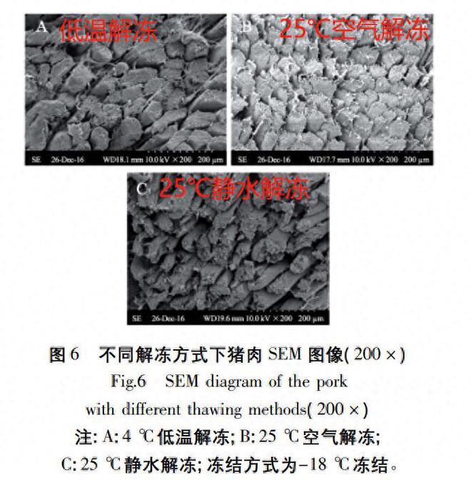 这几个无意识的习惯，可能在悄悄伤害你的健康！快自查