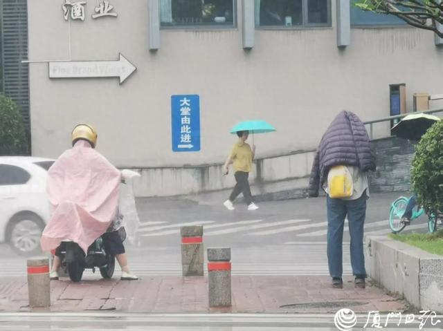 雷雨！大风！短时强降水！厦门放晴要等到……