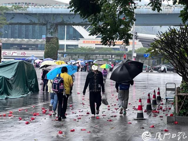 雷雨！大风！短时强降水！厦门放晴要等到……