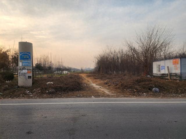 深度践行劳动育人精神，惠济区保合寨小学三亩荒地变花田！