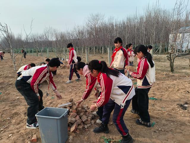 深度践行劳动育人精神，惠济区保合寨小学三亩荒地变花田！