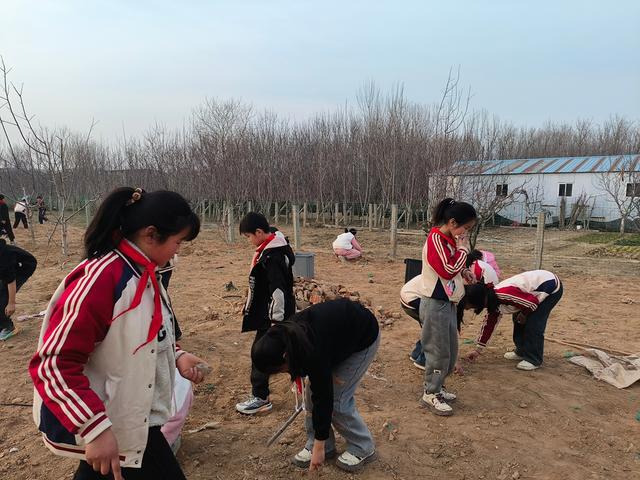 深度践行劳动育人精神，惠济区保合寨小学三亩荒地变花田！