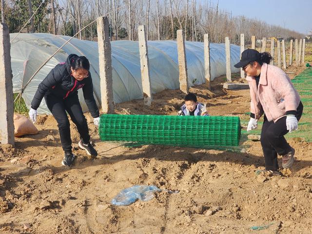 深度践行劳动育人精神，惠济区保合寨小学三亩荒地变花田！