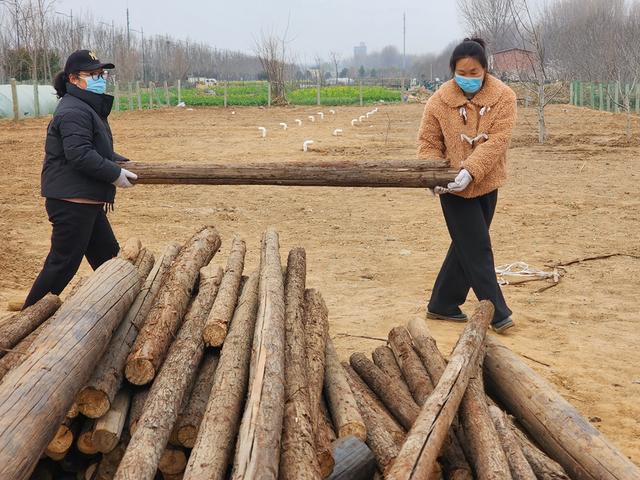 深度践行劳动育人精神，惠济区保合寨小学三亩荒地变花田！