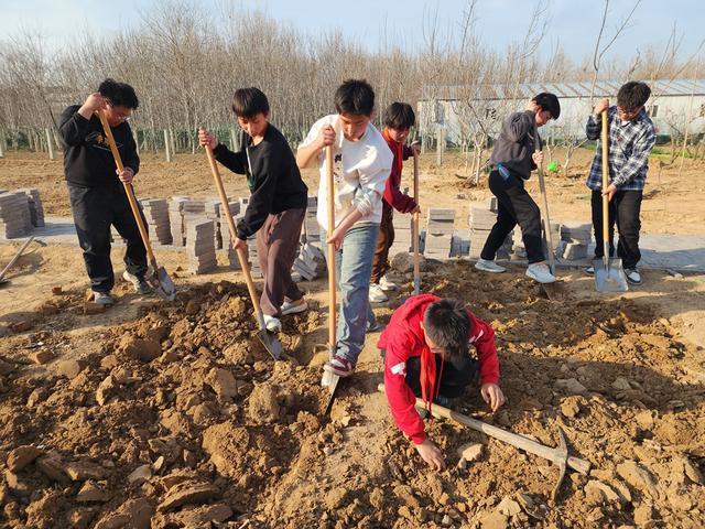 深度践行劳动育人精神，惠济区保合寨小学三亩荒地变花田！