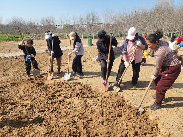 深度践行劳动育人精神，惠济区保合寨小学三亩荒地变花田！