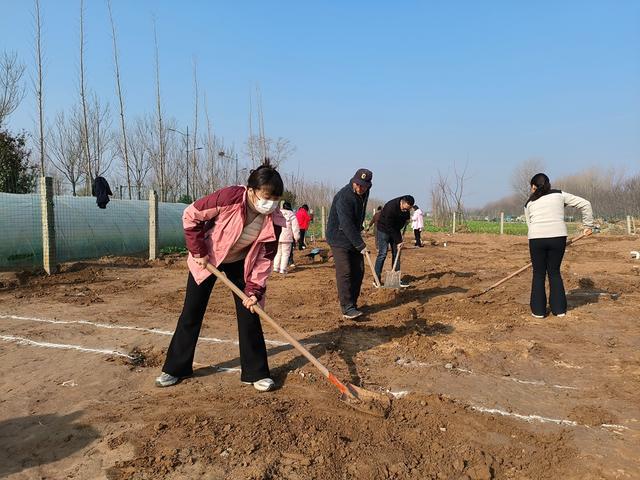 深度践行劳动育人精神，惠济区保合寨小学三亩荒地变花田！