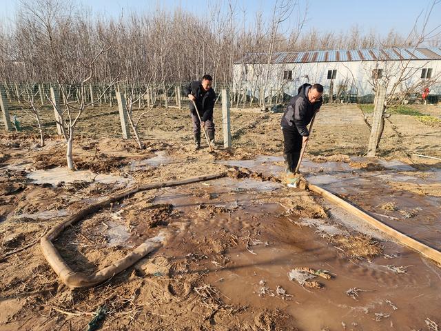 深度践行劳动育人精神，惠济区保合寨小学三亩荒地变花田！