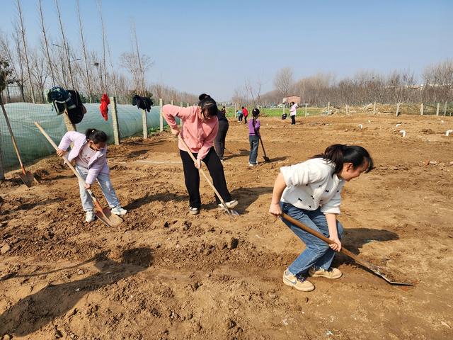 深度践行劳动育人精神，惠济区保合寨小学三亩荒地变花田！