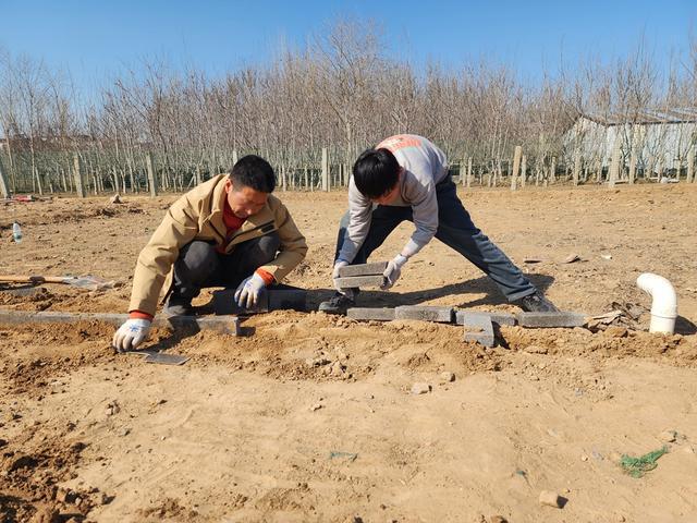 深度践行劳动育人精神，惠济区保合寨小学三亩荒地变花田！