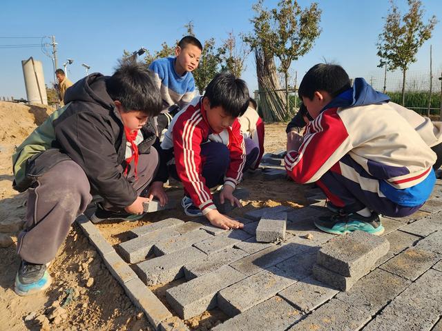 深度践行劳动育人精神，惠济区保合寨小学三亩荒地变花田！