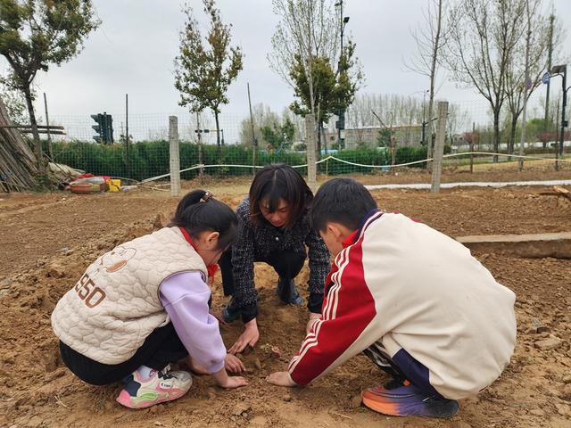 深度践行劳动育人精神，惠济区保合寨小学三亩荒地变花田！
