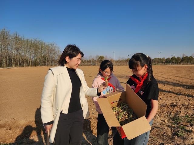 深度践行劳动育人精神，惠济区保合寨小学三亩荒地变花田！