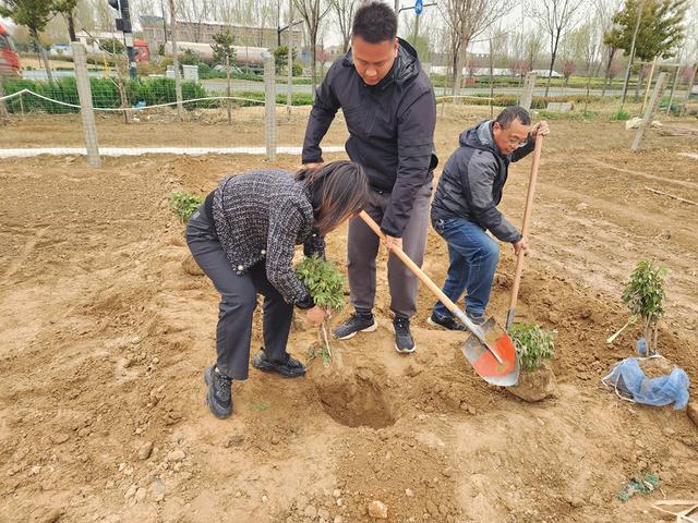 深度践行劳动育人精神，惠济区保合寨小学三亩荒地变花田！