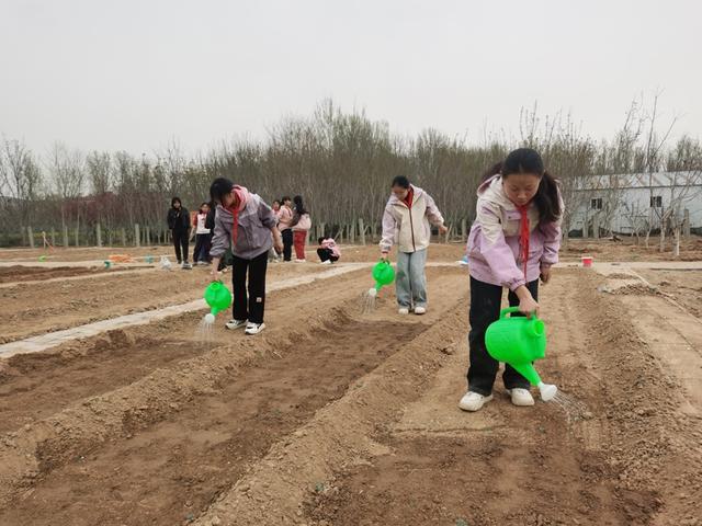 深度践行劳动育人精神，惠济区保合寨小学三亩荒地变花田！