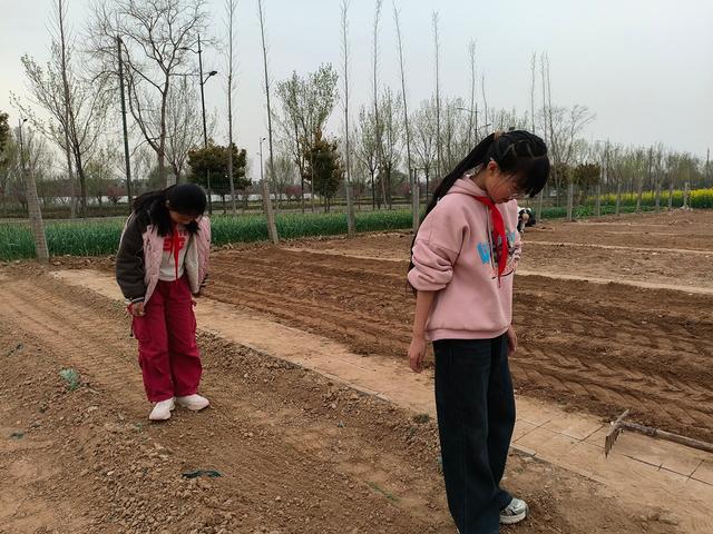 深度践行劳动育人精神，惠济区保合寨小学三亩荒地变花田！
