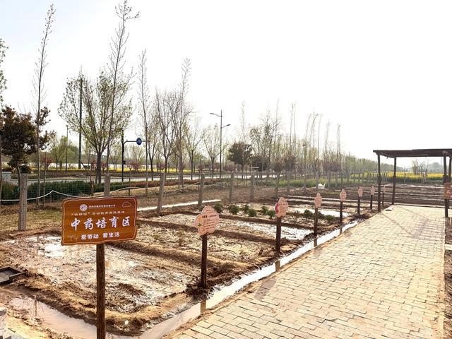 深度践行劳动育人精神，惠济区保合寨小学三亩荒地变花田！