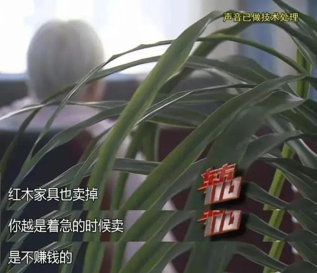 “拆二代”败光5套房近4000万元，彩票中800万又挥霍一空，最终沦为阶下囚