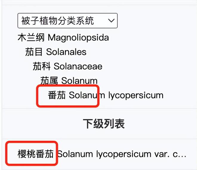 “天选减肥果”竟是它！低卡高纤还美味，多吃不怕胖