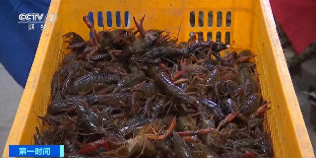 小龙虾价格暴降近50%