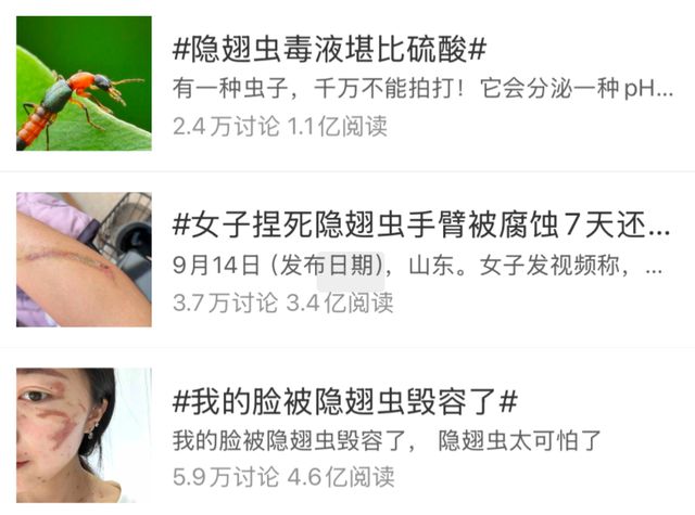 有人因此“毁容”！这种虫子很活跃，遇到不能拍！正确应对需一招