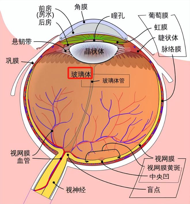 当代人，正在被这种“绝症”折磨......