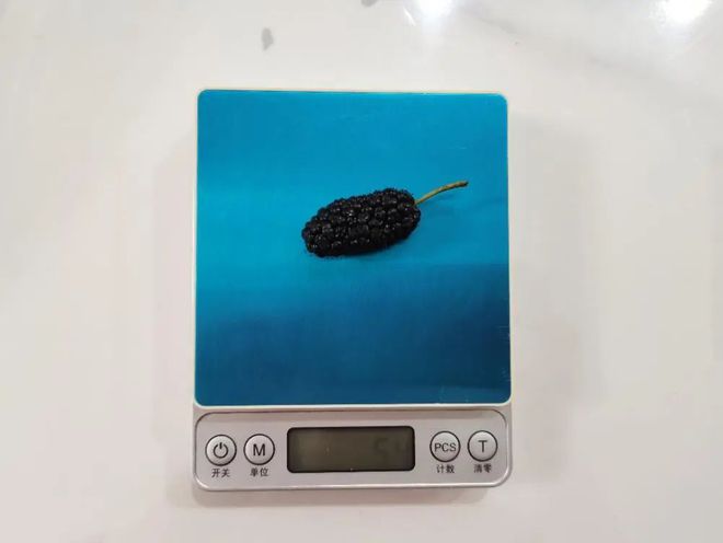 一口爆汁！维生素C是蓝莓的4倍，被誉为“21 世纪最佳保健水果”