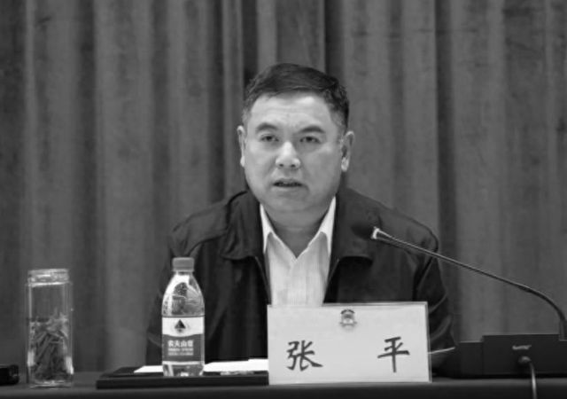 张平同志逝世