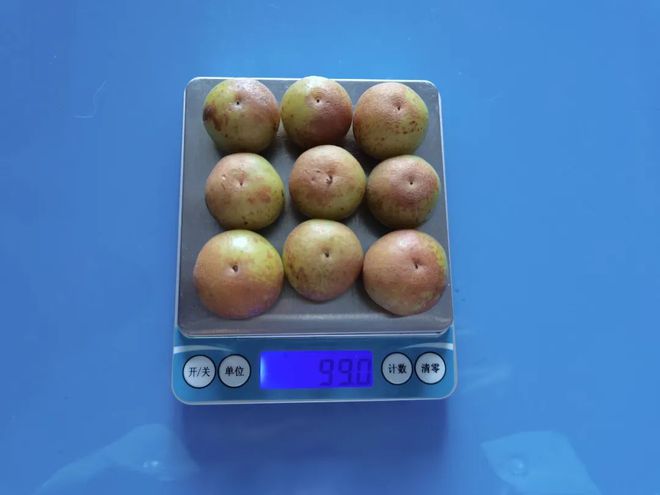 这种水果维生素C含量是橙子的近8倍！被誉为便秘人士的“救星”