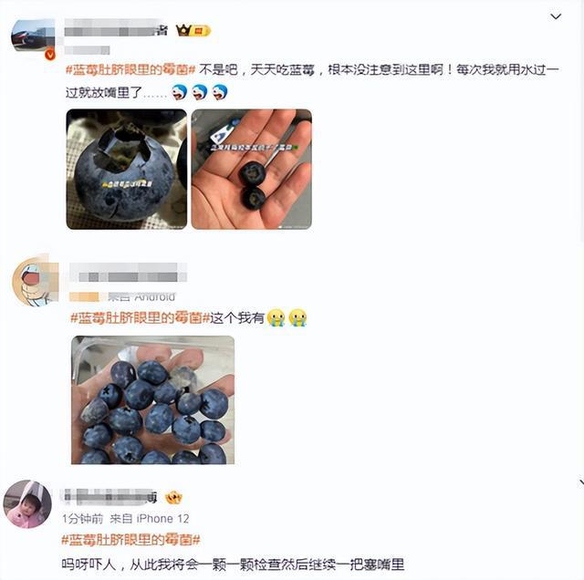 价格已腰斩，以前论克买，现在按斤算！重要提醒：吃之前别忘了“掏耳朵”